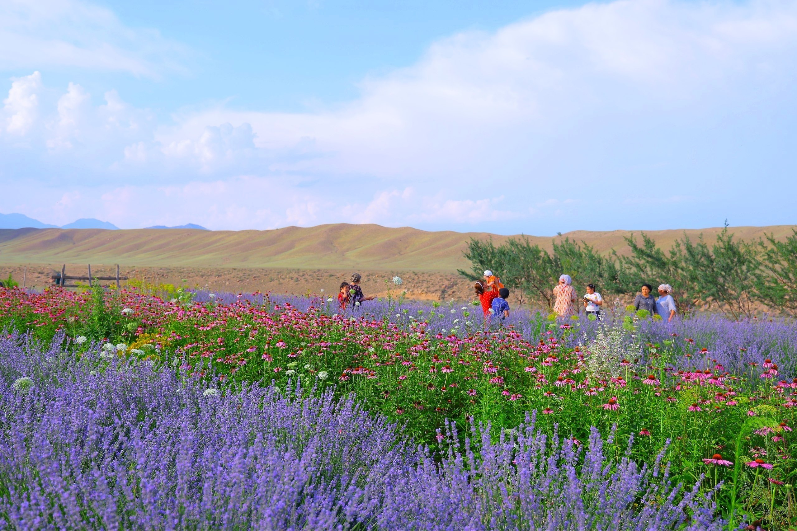 photo_2026-06-06_20-45-54 photo_2026-06-06_20-45-54