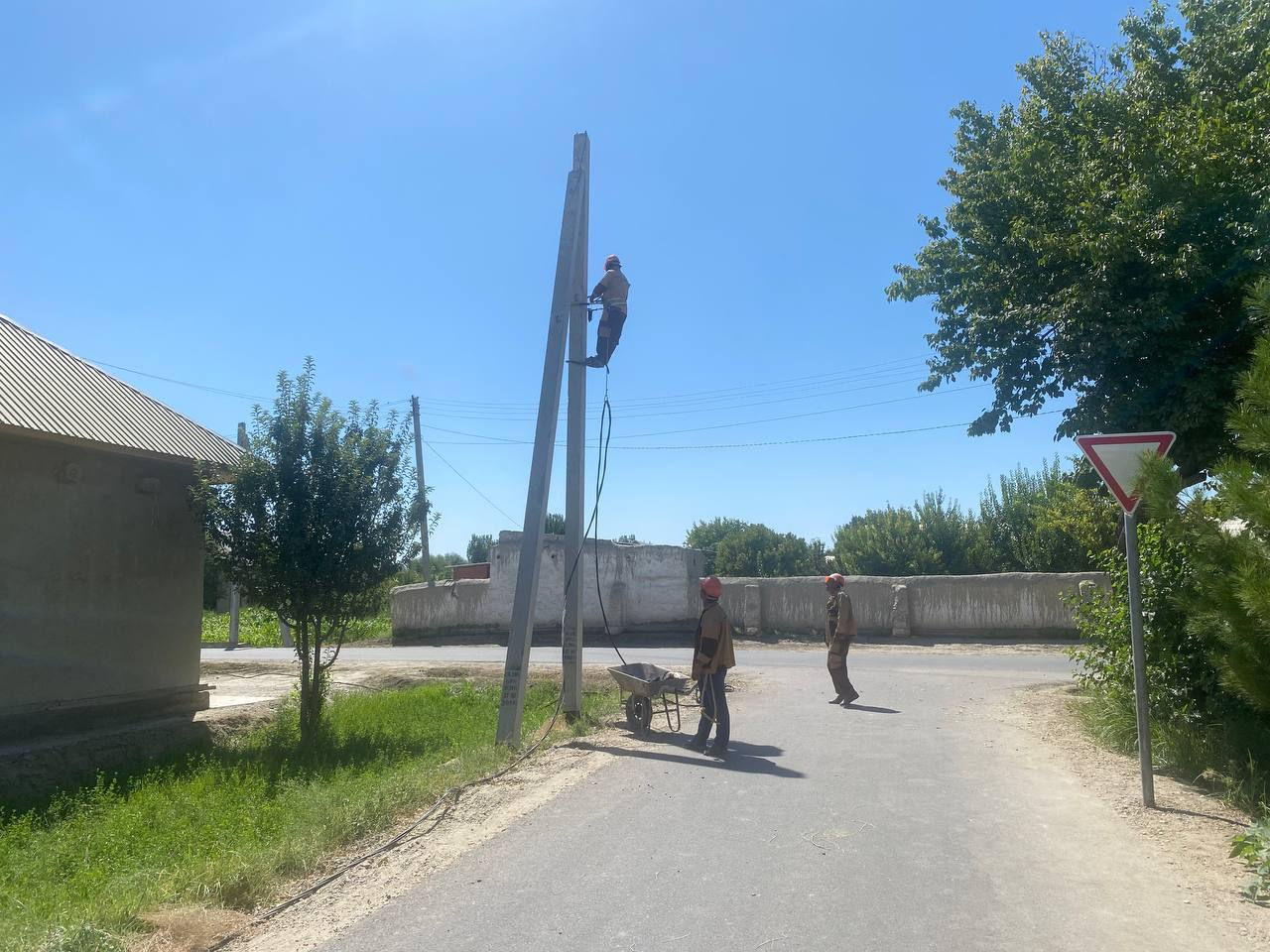 image image