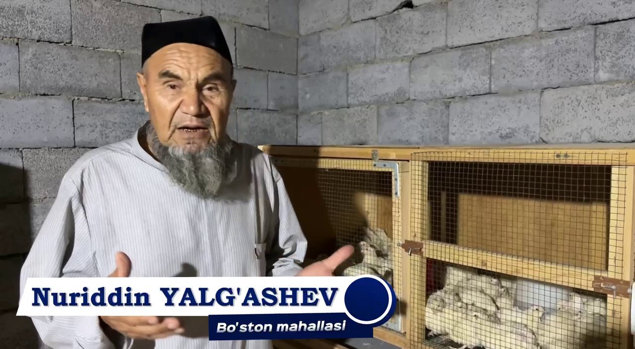 Беданачилик-7 Беданачилик-7